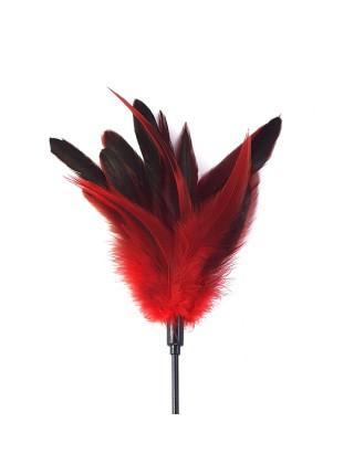 Лоскітка червона Art of Sex - Feather Paddle, перо молодого півня