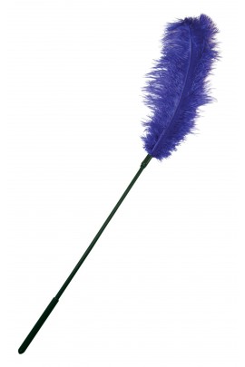Purple Ostrich Feather for Tender Lask Sportsheets Ostrich Tickler