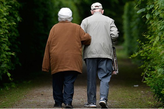 Чи є порох в порохівницях?