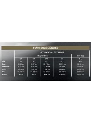 Penthouse Bodysuit - Turned On Black S / M