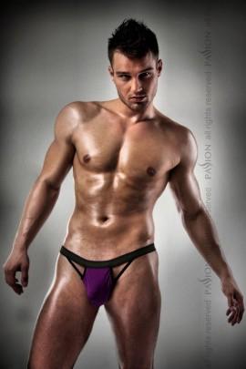 Men's Passion 006 Slip Violet S / M Slip Panties