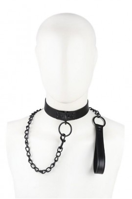 Нашийник з поводком  Rexy 