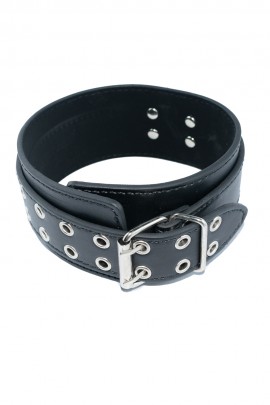 Leather collar without a leash