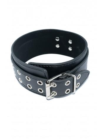 Leather collar without a leash