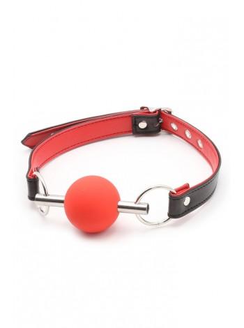 Red gag in mouth