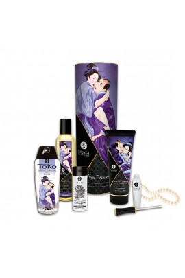Gift set for couples Shunga Carnal Pleasures