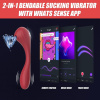 Вакуумный вагинально-клиторальный стимулятор Magic Motion Bobi Red, управление со смартфона || Вакуумний вагінально-кліторальний стимулятор Magic Motion Bobi Red, керування зі смартфона || Vacuum vaginal-clitoral stimulator Magic Motion Bobi Red, control from a smartphone