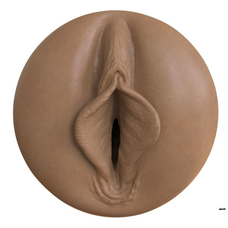 Мастурбатор-вагина Fleshlight Boost Bang Medium Dark Flesh, плавающие кольца Turbo Tech || Мастурбатор-вагіна Fleshlight Boost Bang Medium Dark Flesh, плаваючі кільця Turbo Tech || 