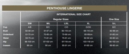 Комплект пеньюар, трусики с доступом и браллет Penthouse - Hypnotic Power Black XL || Комплект пеньюар, трусики з доступом та бралет Penthouse - Hypnotic Power Black XL || Set peignoir, panties with access and spice Penthouse - Hypnotic Power Black XL