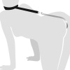 Анальный крюк 4 с ошейником из натуральной кожи Art of Sex - Anal hook, Черный || Анальний гак 4 із нашийником з натуральної шкіри Art of Sex - Anal hook, Чорний || Anal hook 4 with collar from natural skin Art of Sex - Anal hook, Black
